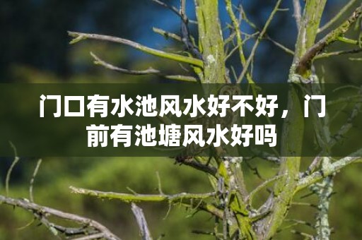 门口有水池风水好不好，门前有池塘风水好吗