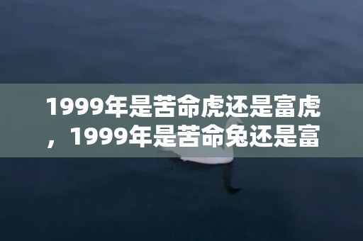 1999年是苦命虎还是富虎，1999年是苦命兔还是富兔