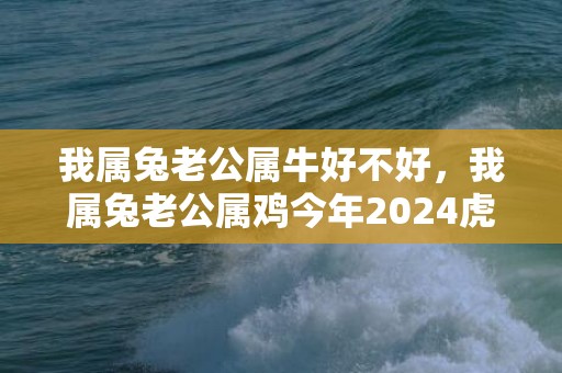 我属兔老公属牛好不好，我属兔老公属鸡今年2024虎年准备要小孩可以不