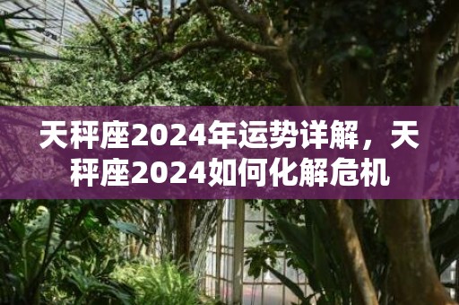 天秤座2024年运势详解，天秤座2024如何化解危机