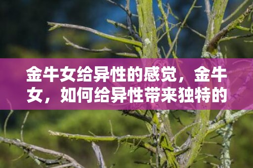 金牛女给异性的感觉，金牛女，如何给异性带来独特的感受？