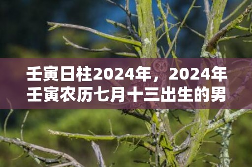 壬寅日柱2024年，2024年壬寅农历七月十三出生的男孩起名技巧