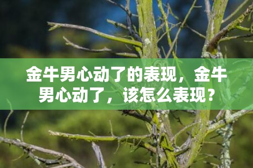 金牛男心动了的表现，金牛男心动了，该怎么表现？