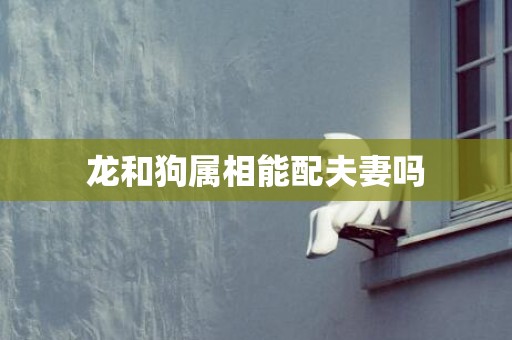 龙和狗属相能配夫妻吗