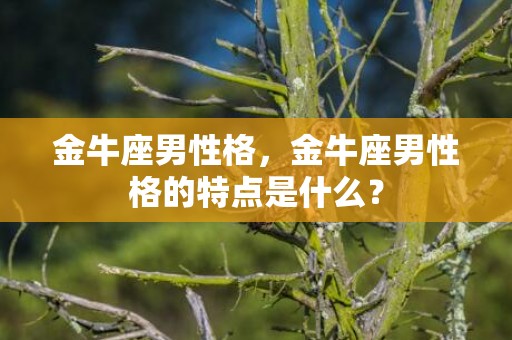 金牛座男性格，金牛座男性格的特点是什么？