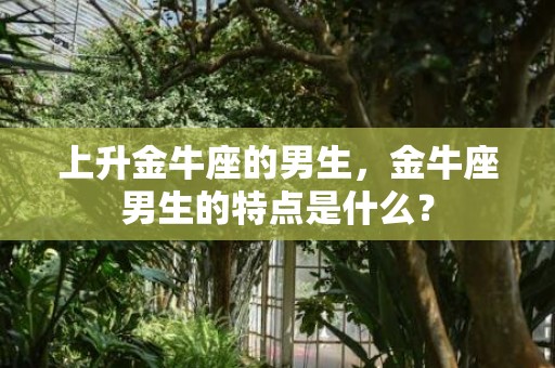 上升金牛座的男生，金牛座男生的特点是什么？