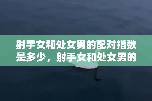 射手女和处女男的配对指数是多少，射手女和处女男的配对指数如何？