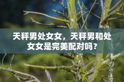 天秤男处女女，天秤男和处女女是完美配对吗？