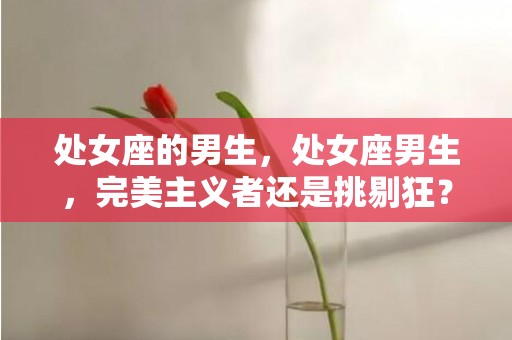 处女座的男生，处女座男生，完美主义者还是挑剔狂？