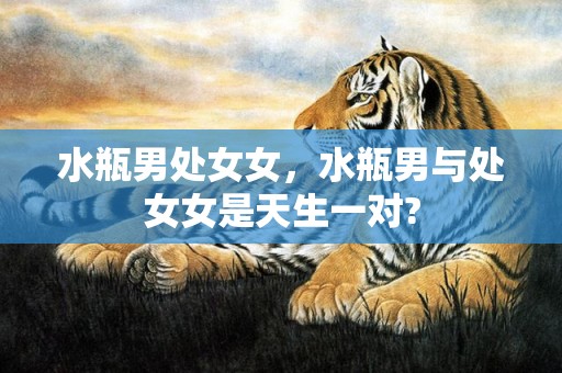 水瓶男处女女，水瓶男与处女女是天生一对?