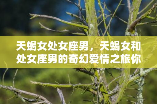 天蝎女处女座男，天蝎女和处女座男的奇幻爱情之旅你听说过吗？