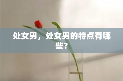 处女男，处女男的特点有哪些？