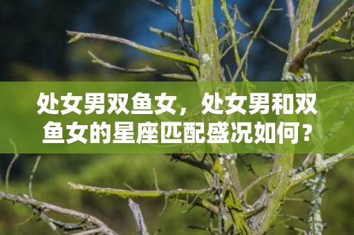 处女男双鱼女，处女男和双鱼女的星座匹配盛况如何？