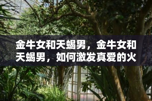 金牛女和天蝎男，金牛女和天蝎男，如何激发真爱的火花？