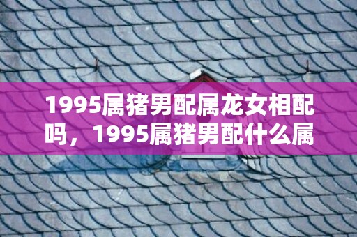1995属猪男配属龙女相配吗，1995属猪男配什么属相最好