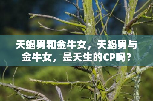 天蝎男和金牛女，天蝎男与金牛女，是天生的CP吗？