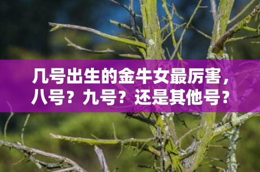 几号出生的金牛女最厉害，八号？九号？还是其他号？