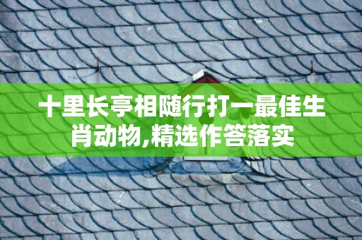 十里长亭相随行打一最佳生肖动物,精选作答落实