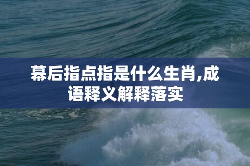 幕后指点指是什么生肖,成语释义解释落实