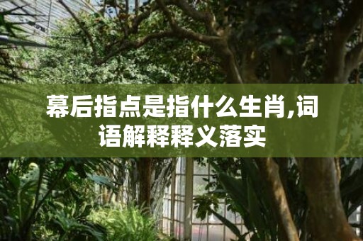 幕后指点是指什么生肖,词语解释释义落实