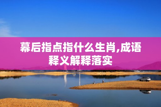 幕后指点指什么生肖,成语释义解释落实