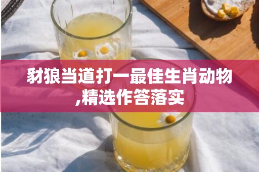豺狼当道打一最佳生肖动物,精选作答落实