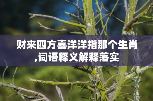 财来四方喜洋洋指那个生肖,词语释义解释落实