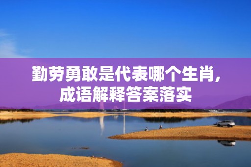 勤劳勇敢是代表哪个生肖,成语解释答案落实