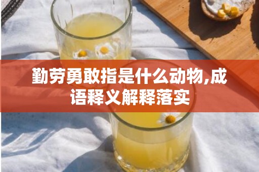 勤劳勇敢指是什么动物,成语释义解释落实