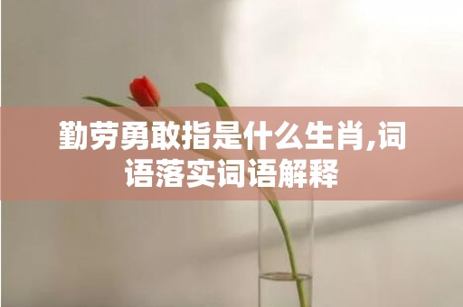勤劳勇敢指是什么生肖,词语落实词语解释