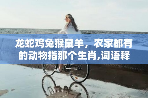 龙蛇鸡兔猴鼠羊，农家都有的动物指那个生肖,词语释义解释落实