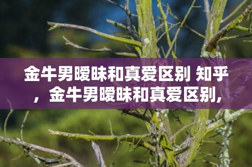 金牛男暧昧和真爱区别 知乎，金牛男暧昧和真爱区别,三个细节判断