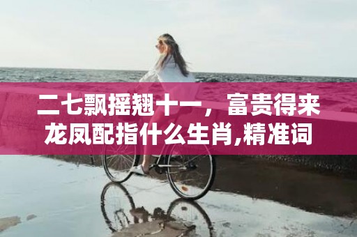 二七飘摇翘十一，富贵得来龙凤配指什么生肖,精准词语落实