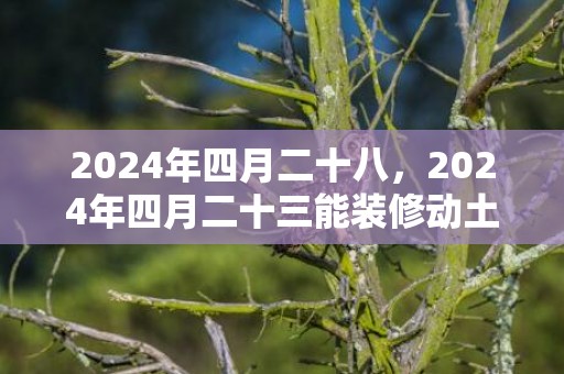 2024年四月二十八，2024年四月二十三能装修动土吗