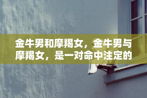 金牛男和摩羯女，金牛男与摩羯女，是一对命中注定的夫妻吗？
