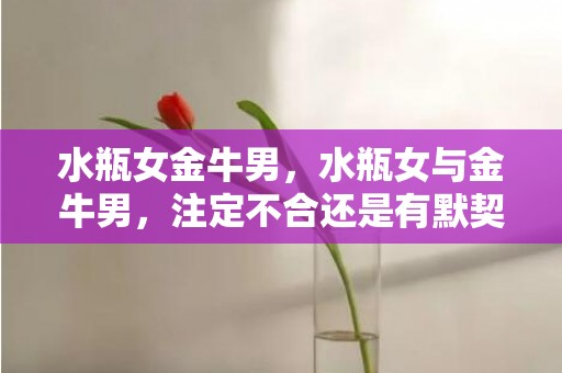 水瓶女金牛男，水瓶女与金牛男，注定不合还是有默契？