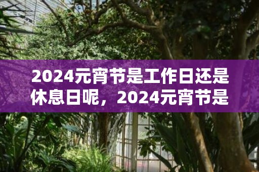 2024元宵节是工作日还是休息日呢，2024元宵节是2月15日吗
