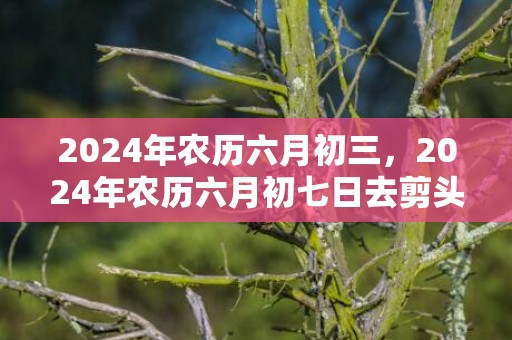 2024年农历六月初三，2024年农历六月初七日去剪头发吉利吗
