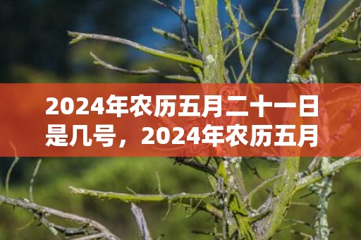 2024年农历五月二十一日是几号，2024年农历五月安床吉日一览表