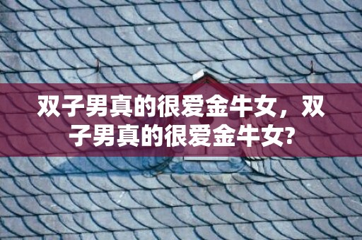 双子男真的很爱金牛女，双子男真的很爱金牛女?