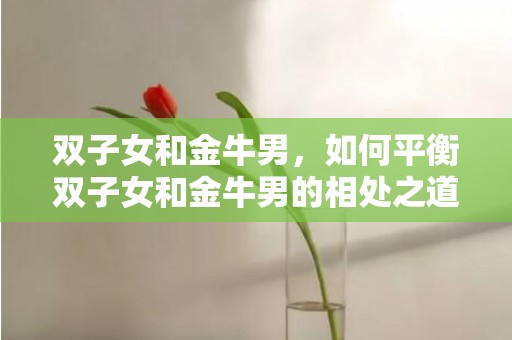 双子女和金牛男，如何平衡双子女和金牛男的相处之道？