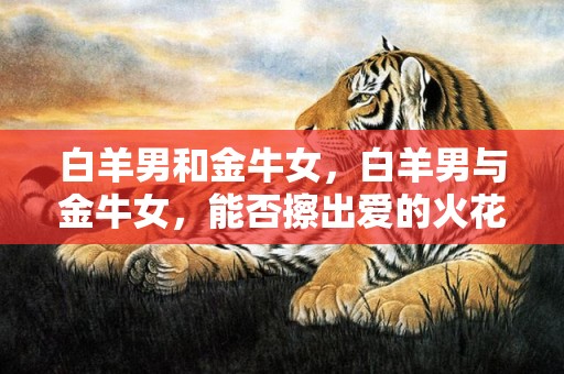 白羊男和金牛女，白羊男与金牛女，能否擦出爱的火花？
