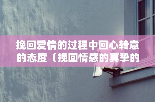 挽回爱情的过程中回心转意的态度（挽回情感的真挚的句子）