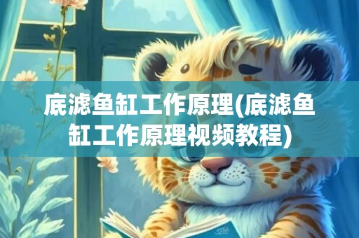 底滤鱼缸工作原理(底滤鱼缸工作原理视频教程)