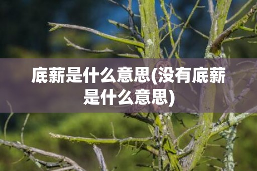 底薪是什么意思(没有底薪是什么意思)