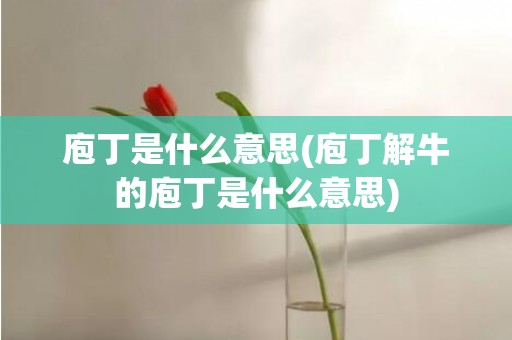 庖丁是什么意思(庖丁解牛的庖丁是什么意思)