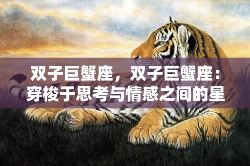 双子巨蟹座，双子巨蟹座：穿梭于思考与情感之间的星座吗？