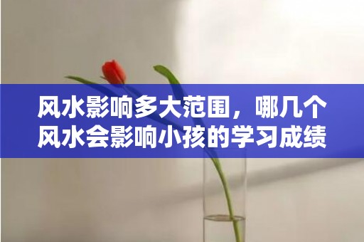 风水影响多大范围，哪几个风水会影响小孩的学习成绩