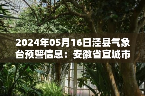 2024年05月16日泾县气象台预警信息：安徽省宣城市泾县发布大雾橙色预警