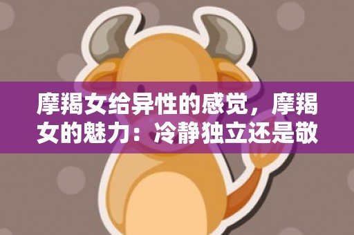 摩羯女给异性的感觉，摩羯女的魅力：冷静独立还是敬而远之的神秘？